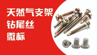 天然气支架  钻尾丝  微标   其他